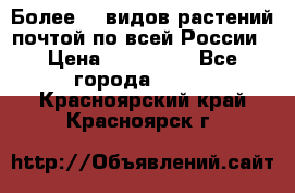 Более200 видов растений почтой по всей России › Цена ­ 100-500 - Все города  »    . Красноярский край,Красноярск г.